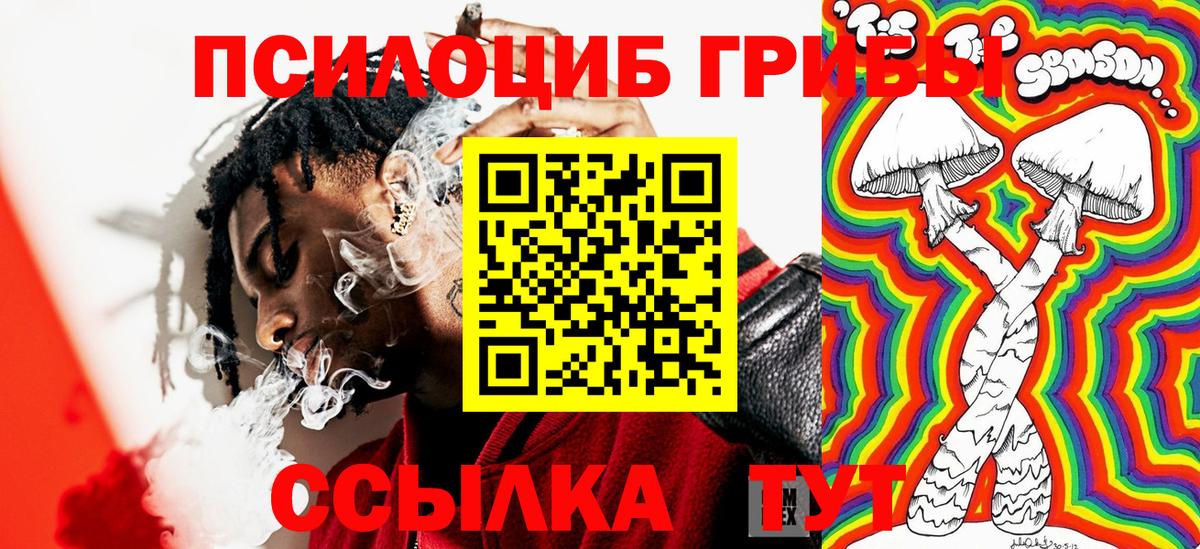 Гудермес  Псилоцибиновые грибы MAGIC MUSHROOMS  Галлюциногенные грибы ЛСД  где найти   Вход с VPN 