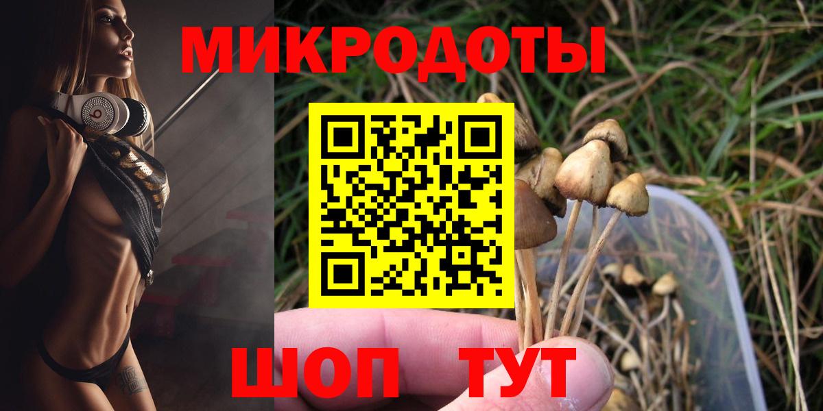 Псилоцибиновые грибы мицелий Гудермес